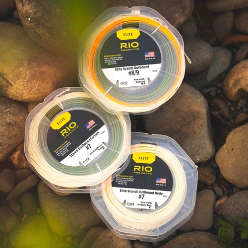 Interruptor de salida Rio ® ESOSW Elite Scandi Fly Line * NUEVAS EXISTENCIAS 2025 * INTERRUPTOR - Imagen 4 de 6