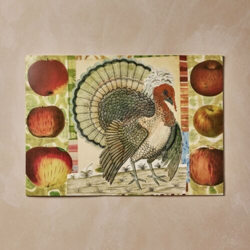 NUEVO John Derian para Target THANKSGIVING Otoño Mantel para Colorear Folleto - Imagen 3 de 3