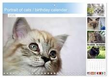 Portrait of cats / birthday calendar (Monthly Wall Calendar 2026 11.7 x 16.5 (op