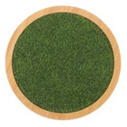 Grass Display Stand Wooden Plastic Model Holder for Desktop Decoration