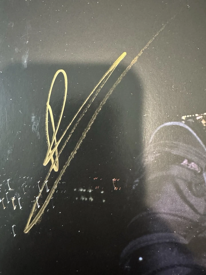 Jpegmafia I LAY DOWN MY LIFE FOR YOU SIGNED Alt Cover Vinyl *READ DESCRIPTION* Foto 2 de 4