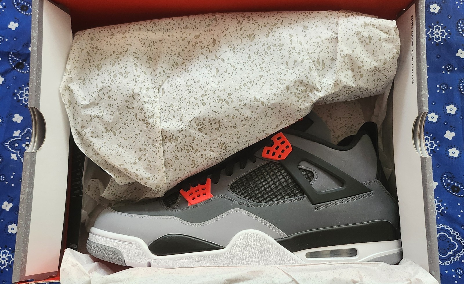 Picture 2 of 15