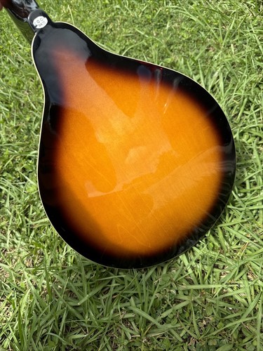 Rogue Fine Instruments Mandolin Model RM-100A - Picture 12 of 17