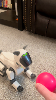 Sony AIBO ERS-210 Spring White | eBay