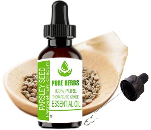 Pure Herbs Parsley Seed Petroselinum Crispum 100% Pure & Natural Essential Oil - Foto 8 di 30