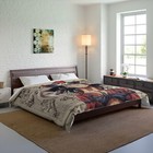 Anime Comforter in Pirate Design