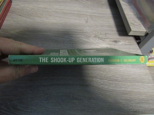 THE SHOOK-UP GENERATION BY HARRISON E. SALISBURY JUVENILE DELINQUENCY - Picture 2 of 2