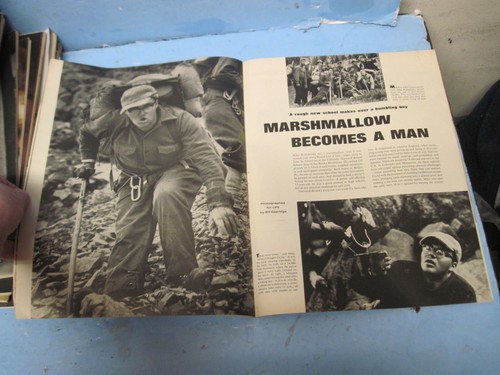 $ Life Magazine 1964 August 7 What Really Killed Marilyn - Picture 2 of 7