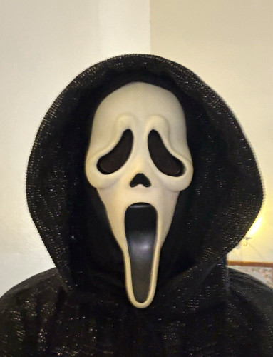 Ghostface Costume comes with mask