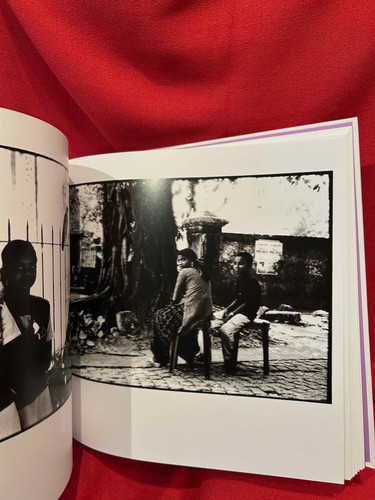 SIEGFRIED - Far east by Siefried. Paris, Éditions de la Martinière, 2012. - Picture 7 of 12