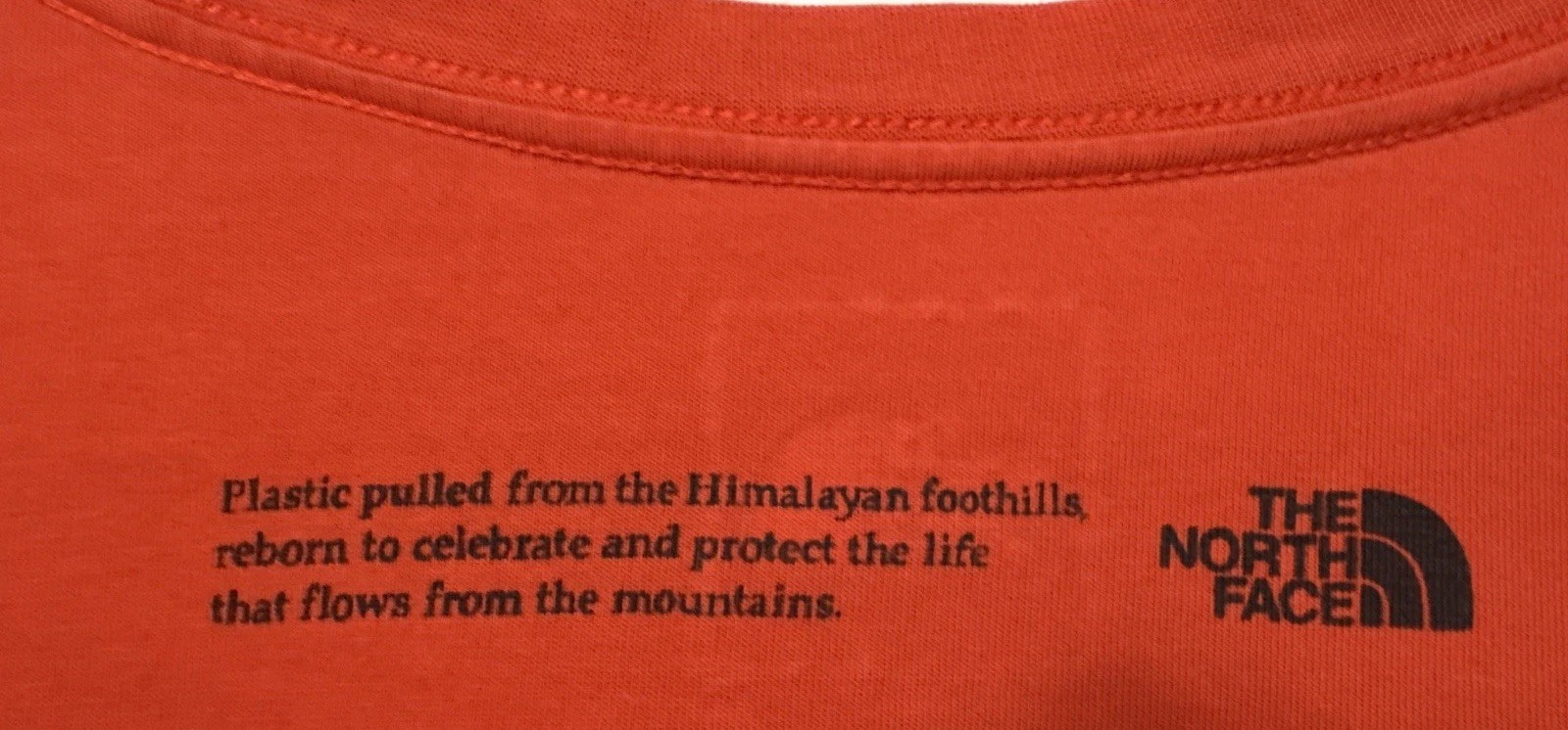 Picture 4 of 6