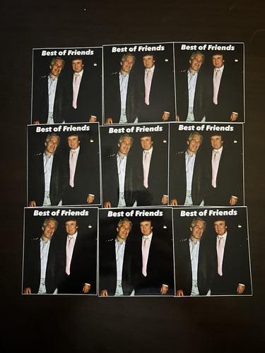 Trump Epstein Best of Friends Aufkleber 3” 3x3 3”x3” 3 Zoll Quadrat - Bild 2 von 3