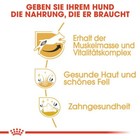 Bild 3 von 7