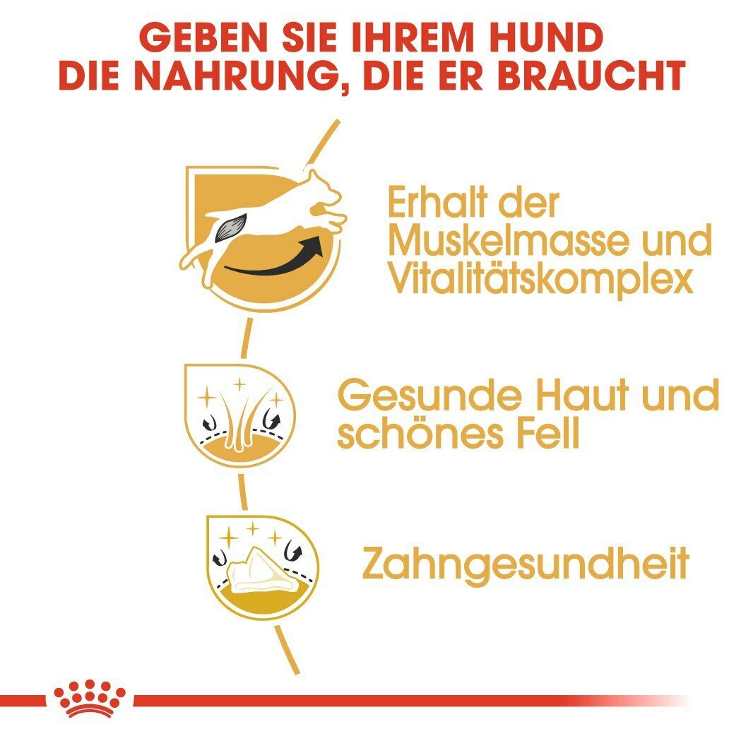 Bild 3 von 7