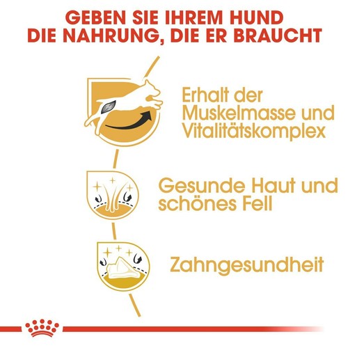 ROYAL CANIN Jack Russell Terrier Adult Hundefutter trocken 1,5 kg - Bild 3 von 7