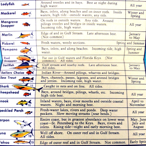 1950 Florida Vacation Travel Map Excellent For Framing MCM Tourguide Gulf Oil - Bild 6 von 8