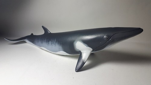 2019 NEW Collecta Animal Toy / Figure Minke Whale - Picture 3 of 3