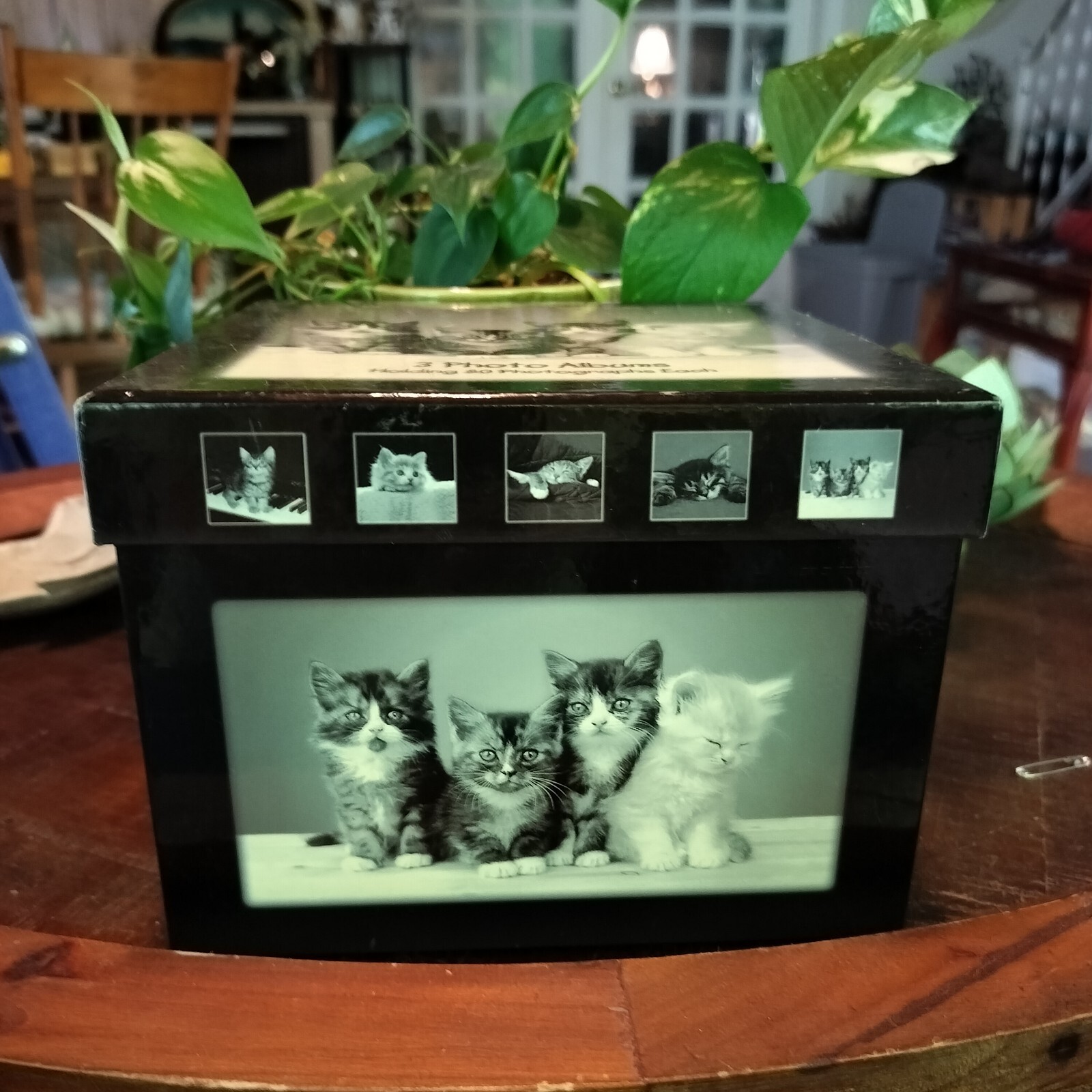 Picture 3 of 19