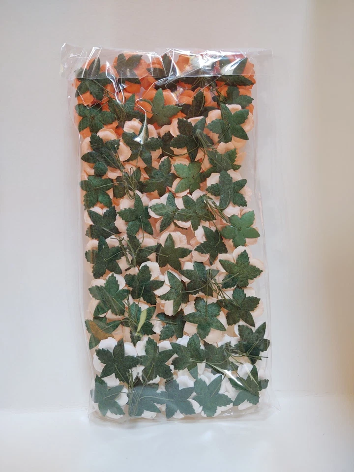 50 rosas silvestres, juego mixto de rosas naranjas, rosas de papel morera, #SAA-264 Foto 3 de 3