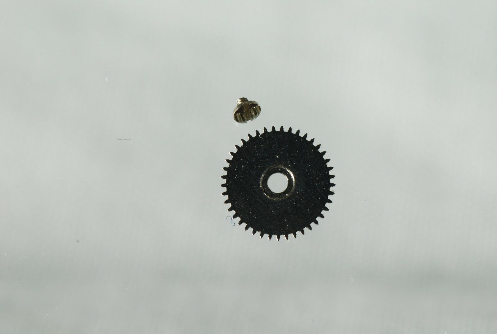 Picture 15 of 41