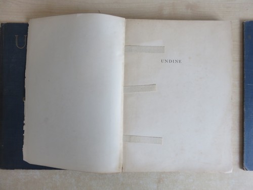 Undine de la Motte Fouque Illustrated by Arthur Rackham, 1909, Ist Ed w/o plates - Picture 5 of 16