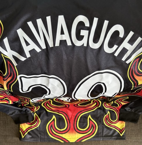 Asics Japan 1998 Yoshikatsu Kawaguchi #20 Black Fire Goalkeeper Jersey Men’s XL - Bild 8 von 8