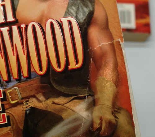 12x Bulk Lot | Leigh Green Wood and Christine Feehan Romance Novels - Foto 12 di 23