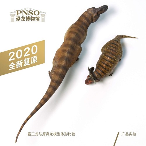 PNSO Dinosaur Museum 1/35 Size Tyrannosaurus T-REX Dinosaur Real Figure PVC Plas - Bild 7 von 9