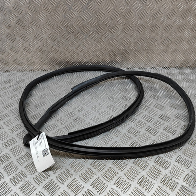TOYOTA C-HR AX20 Front Right Door Seal Rubber 67861-F4060