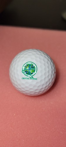 Crystal Downs Country Club Frankfort MI Top Flite Tour 1 Regular 90 Golfschläger