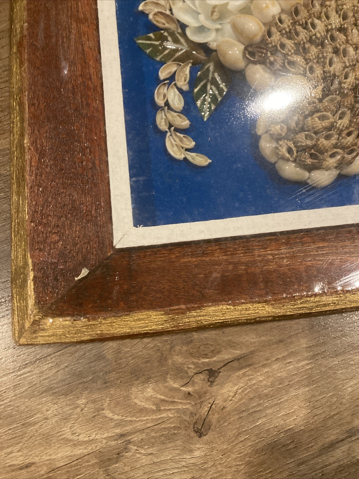Foto 4 di 6