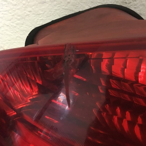 Tail Light Assembly MERCEDES CLK Left 06 07 08 09 - Picture 2 of 6