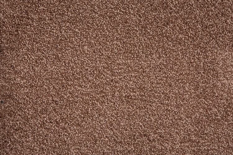 CHEAPEST Carpets Twist Pile ONLY Carpet 4m Wide Cheap Clearance eBay