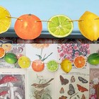 Citrus Fruit Garland Bunting Party Wedding Lemon Lime Orange Cocktails Summer