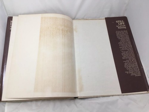 Klusa Daba Makslas Gramata Latviesu Latvian Still Life Painting Art Book 1986 - Picture 5 of 10