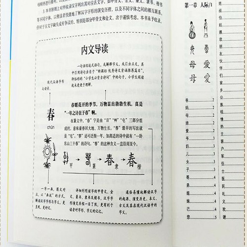 800 Chinese Character Picture Books Dictionary Learners Hanzi 许慎画说汉字800个汉字1-2年级 - Picture 8 of 8