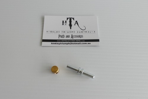 TRIUMPH THUNDERBIRD 885 CLUTCH MASTER CYLINDER PUSH ROD & BUSH KIT *SEE NOTES* - Picture 1 of 3