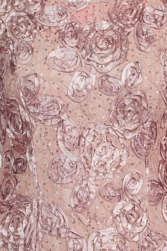 Alex Evenings Scoop Neck Short Sleeve Zipper Back Embellished Lace Dress - Picture 13 of 17