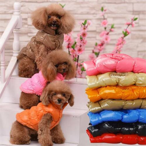 Haustier Welpe Jacke Winter kleiner Hund daunen warm gepolsterte Weste wasserdicht Mantel Kleidung - Bild 2 von 19