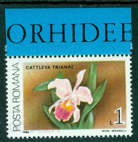 1988 Orchid,Orchidee - Cattleya trianae,Christmas orchid /Colombia - Romania,MNH - 第 1/1 張圖片