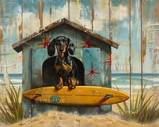 Dachshund Relaxing in Beach Hut with Surfboard - 8x10 Matte Print - Dog