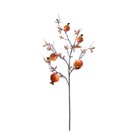 Foto 9 di 21