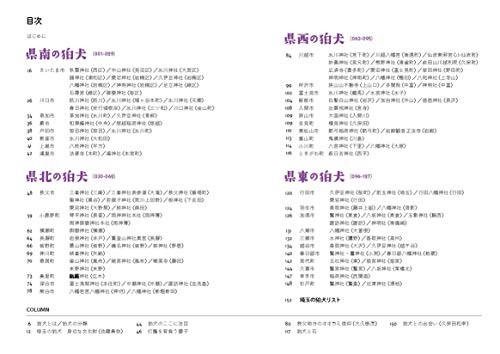 Wächter von Saitama aus JAPAN [erd] - Bild 2 von 6