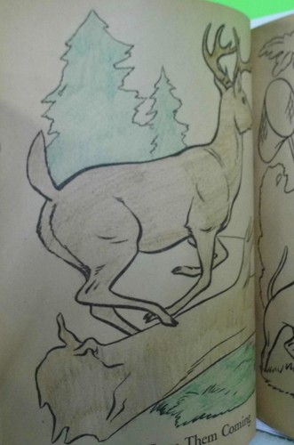 Libro da colorare vintage Roy Rogers Dale Evans 1952 - Foto 13 di 22