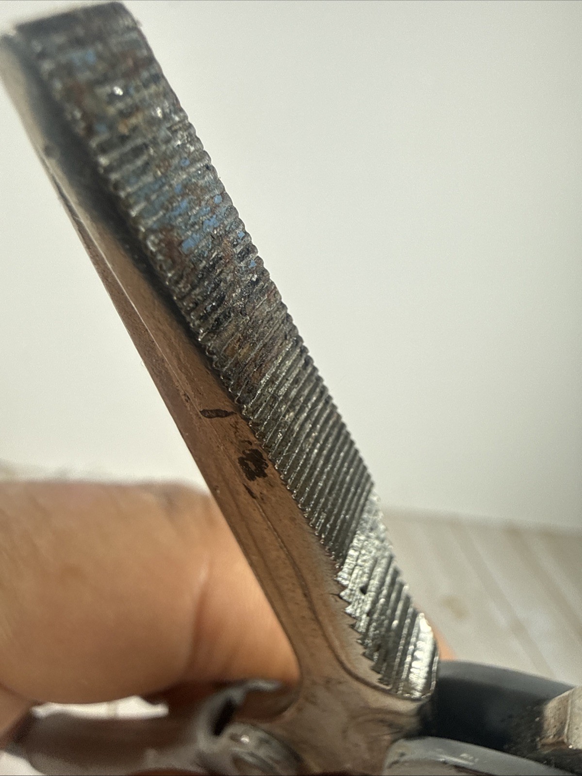 Picture 6 of 10
