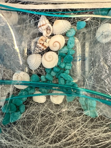 Vintage Riccardo Marzi Italian Resin Trinket Bowl Aqua Blue Sea Shells Turquoise - Picture 2 of 6