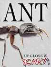 Up Close & Scary Ant by Louise & Richard Spilsbury (Paperback, 2016)