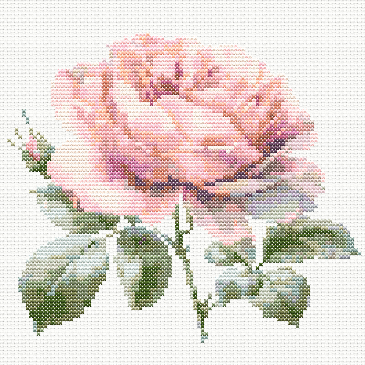 Foto 2 di 2