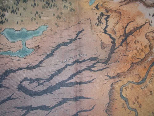 Pathfinder Wrath of the Righteous Video Game Collection Cloth World Map - Picture 6 of 11