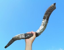 33" Large 925 SILVER SHOFAR Blow Horn STAR of DAVID  MENORAH Jerusalem 7 Branch